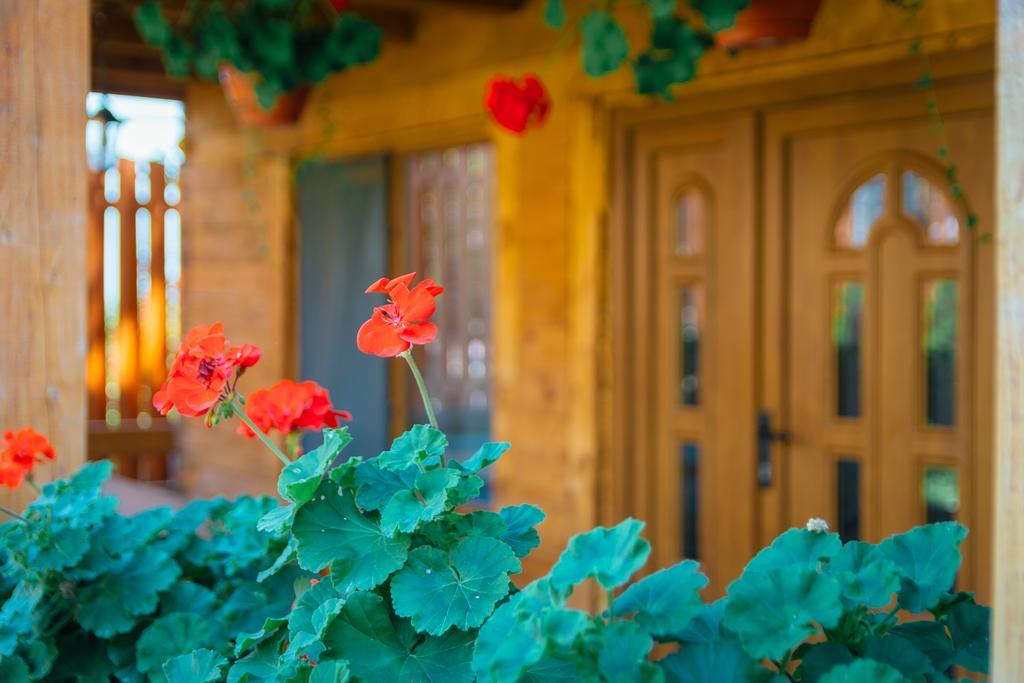 Готель Casa Gherman Турда Екстер'єр фото